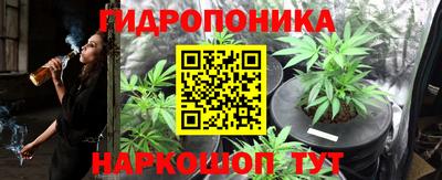МДПВ Дубна