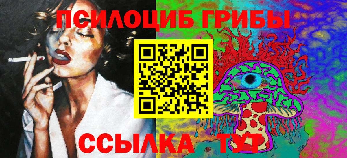Псилоцибиновые грибы Psilocybe  Вход с VPN  Луховицы 