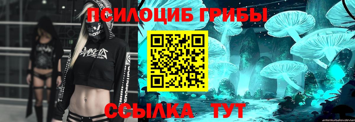 Псилоцибиновые грибы GOLDEN TEACHER Луховицы